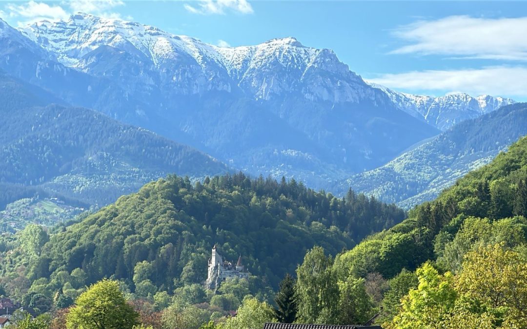 Reclama, sufletul comerțului