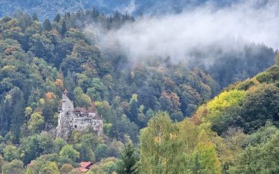 Perfecțiunea în Ospitalitate